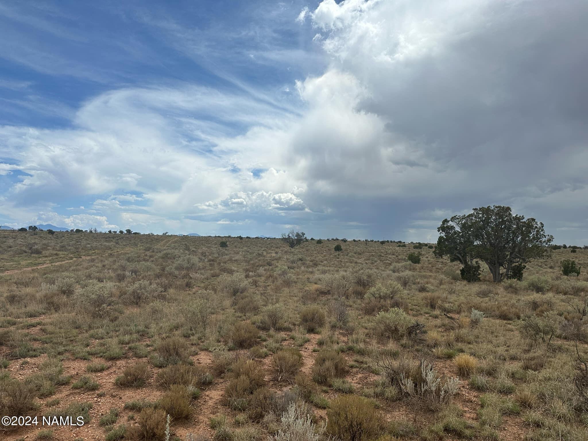 1224 Valle Road, Unit 8 Williams, AZ 86046 - Photo 5 of 10 592d593d-1371-43d8-b46a-e09c6e55ddd9