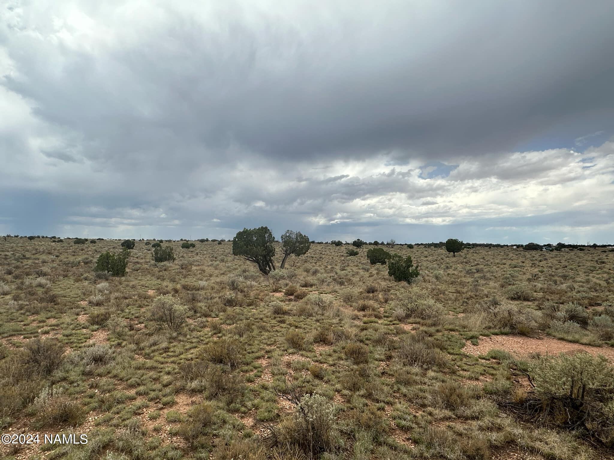 1224 Valle Road, Unit 8 Williams, AZ 86046 - Photo 6 of 10 aaffa188-dc61-42b7-81ae-358e613437b1