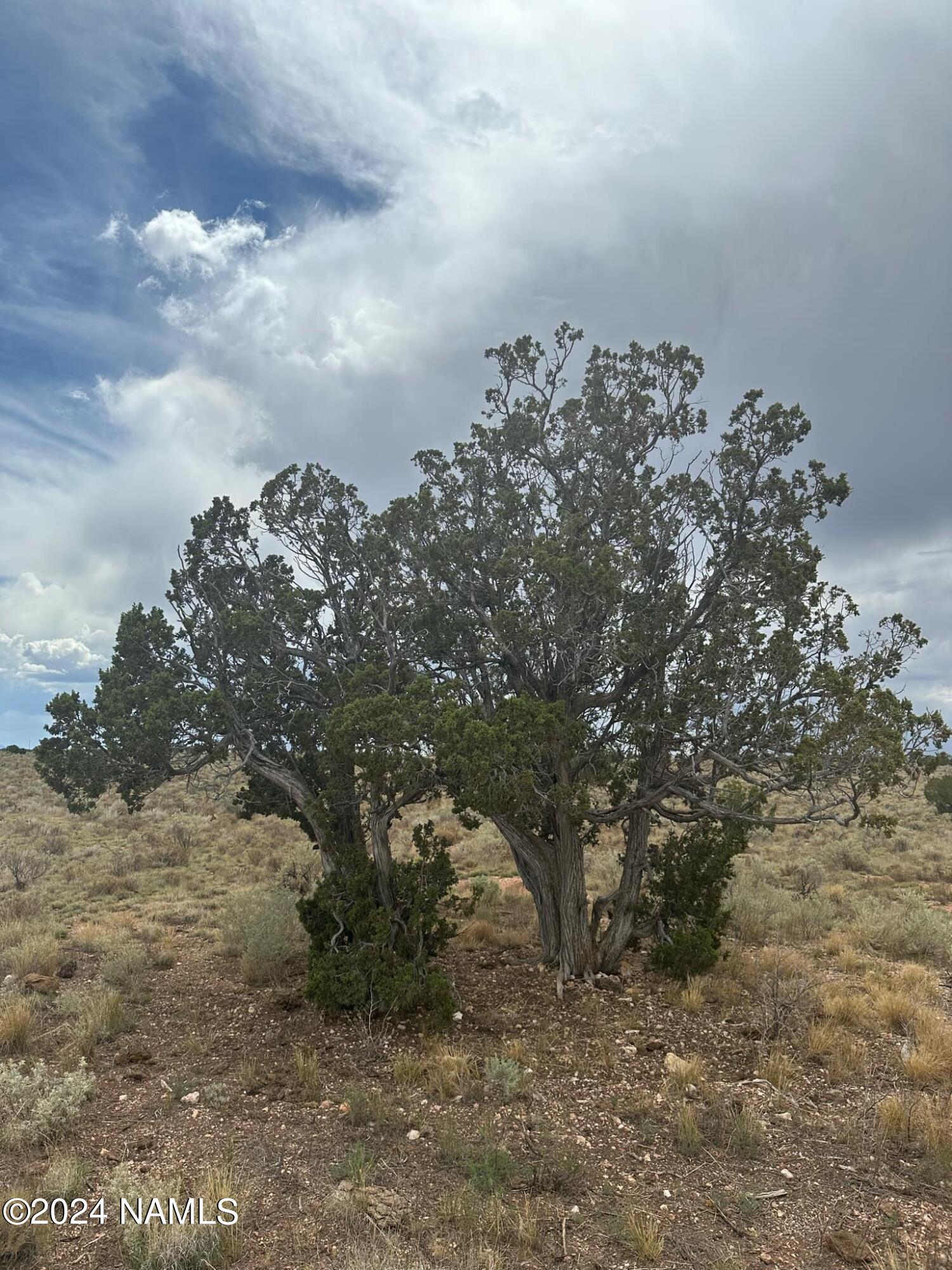 1224 Valle Road, Unit 8 Williams, AZ 86046 - Photo 7 of 10 ae6451b5-72c4-465c-878a-98395627ab05