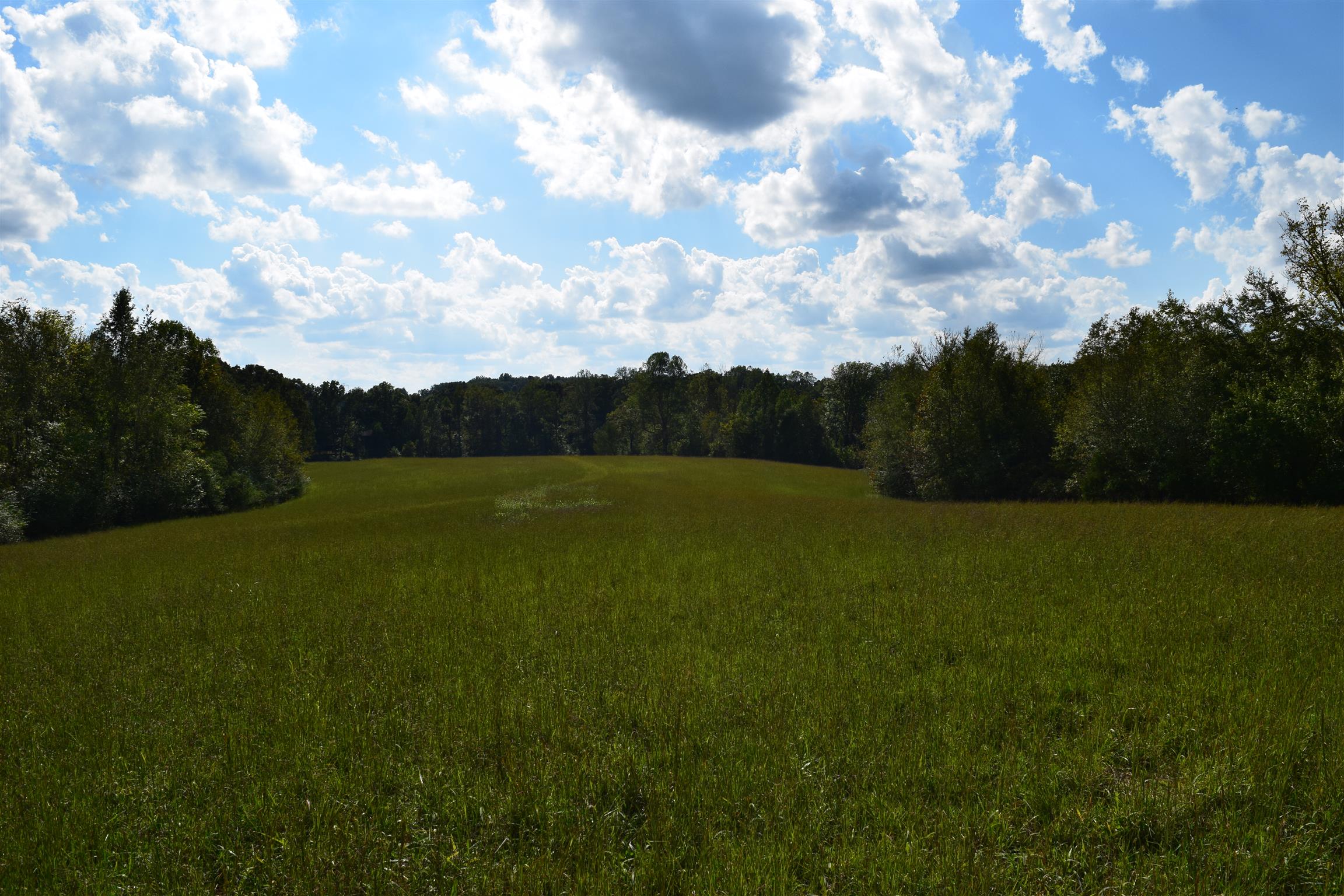 7425 Crow Cut Road Fairview, TN 37062 - Photo 13 of 16 Gallery Image 13