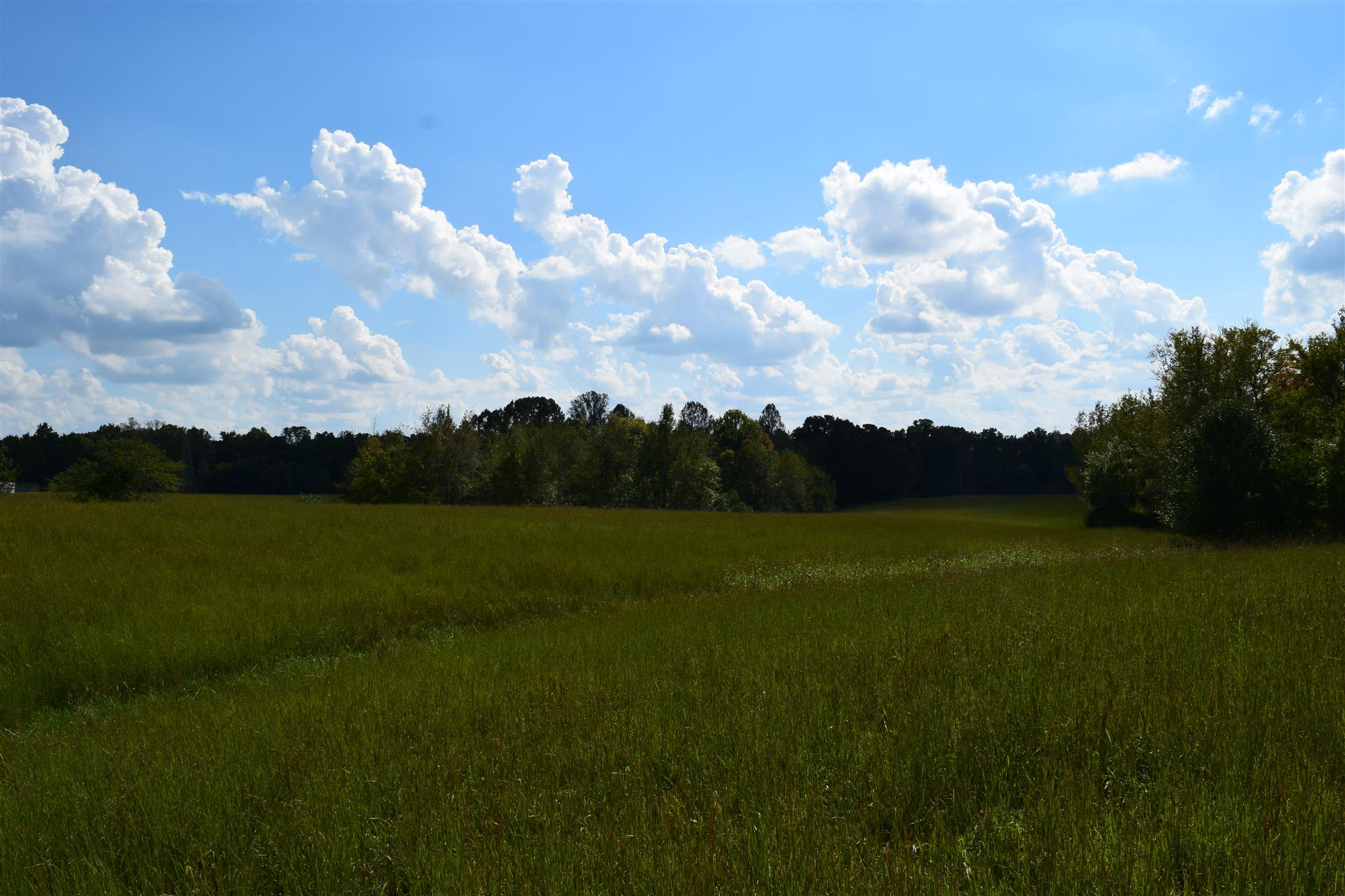 7425 Crow Cut Road Fairview, TN 37062 - Photo 8 of 16 Gallery Image 8