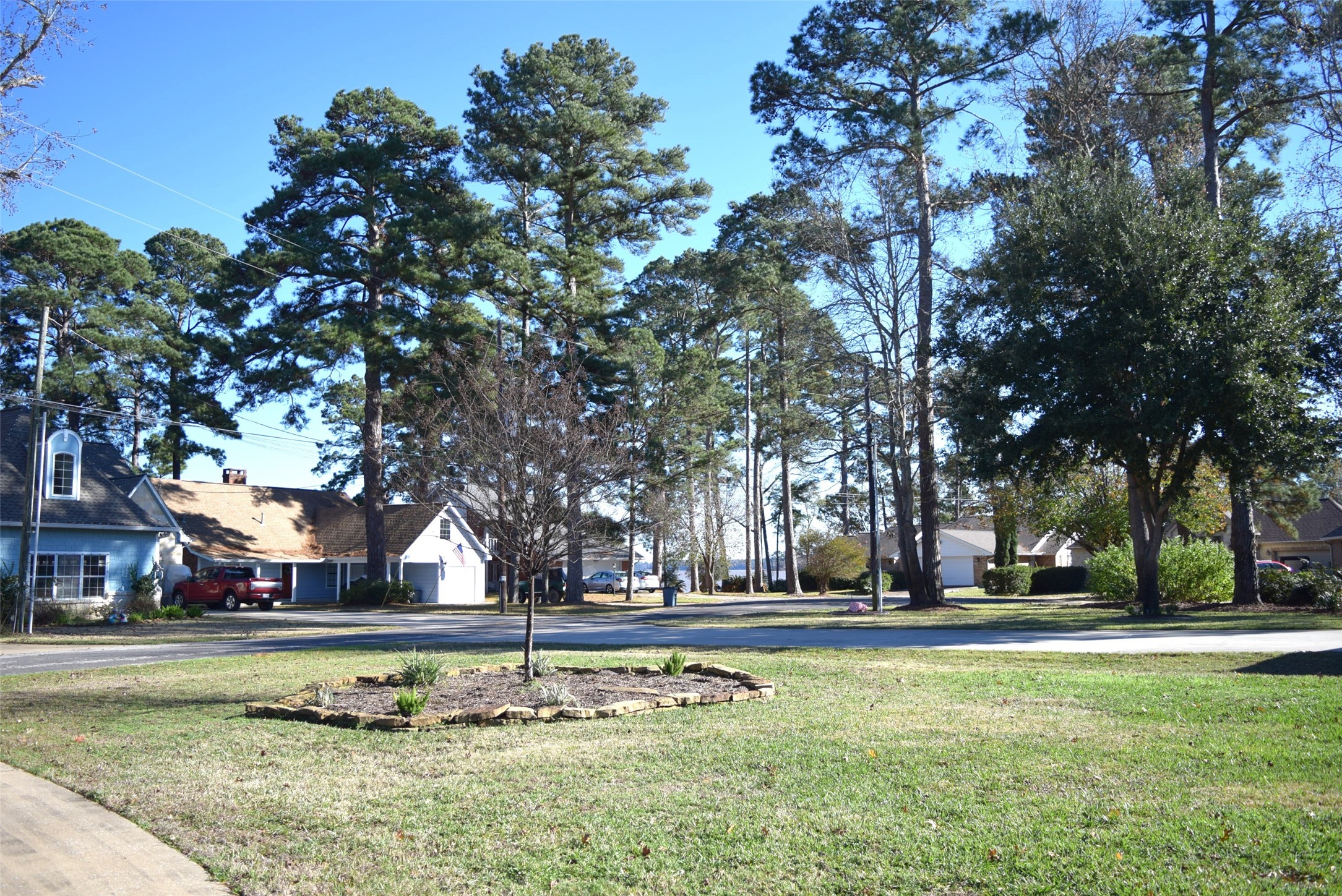 26 Westpoint Drive Trinity, TX 75862 - Photo 49 of 49 a view of yard with trees