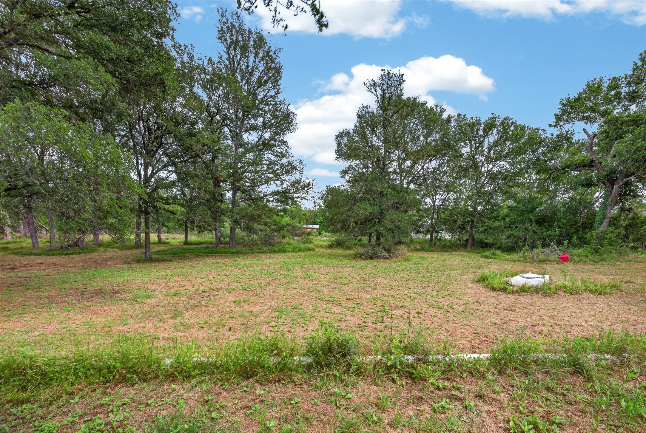 266 Beaver Road Elgin, TX 78621 - Photo 18 of 40 Mature trees frame a verdant lot, offering a tranquil setting for a future dream home.