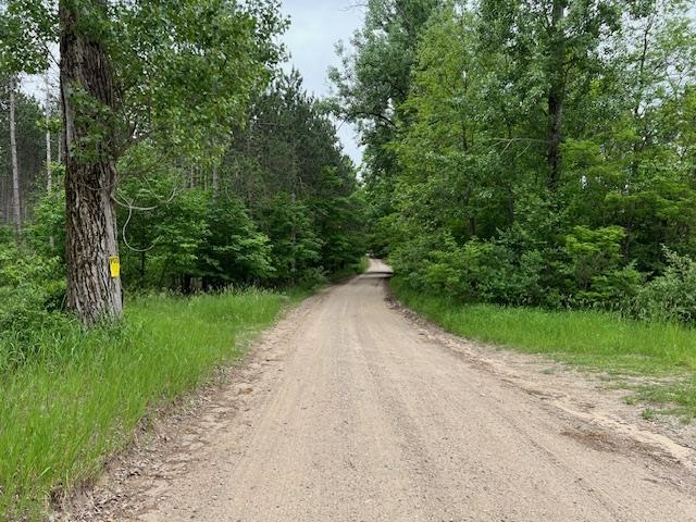 5193 Samels Road Williamsburg, MI 49690 - Photo 28 of 34