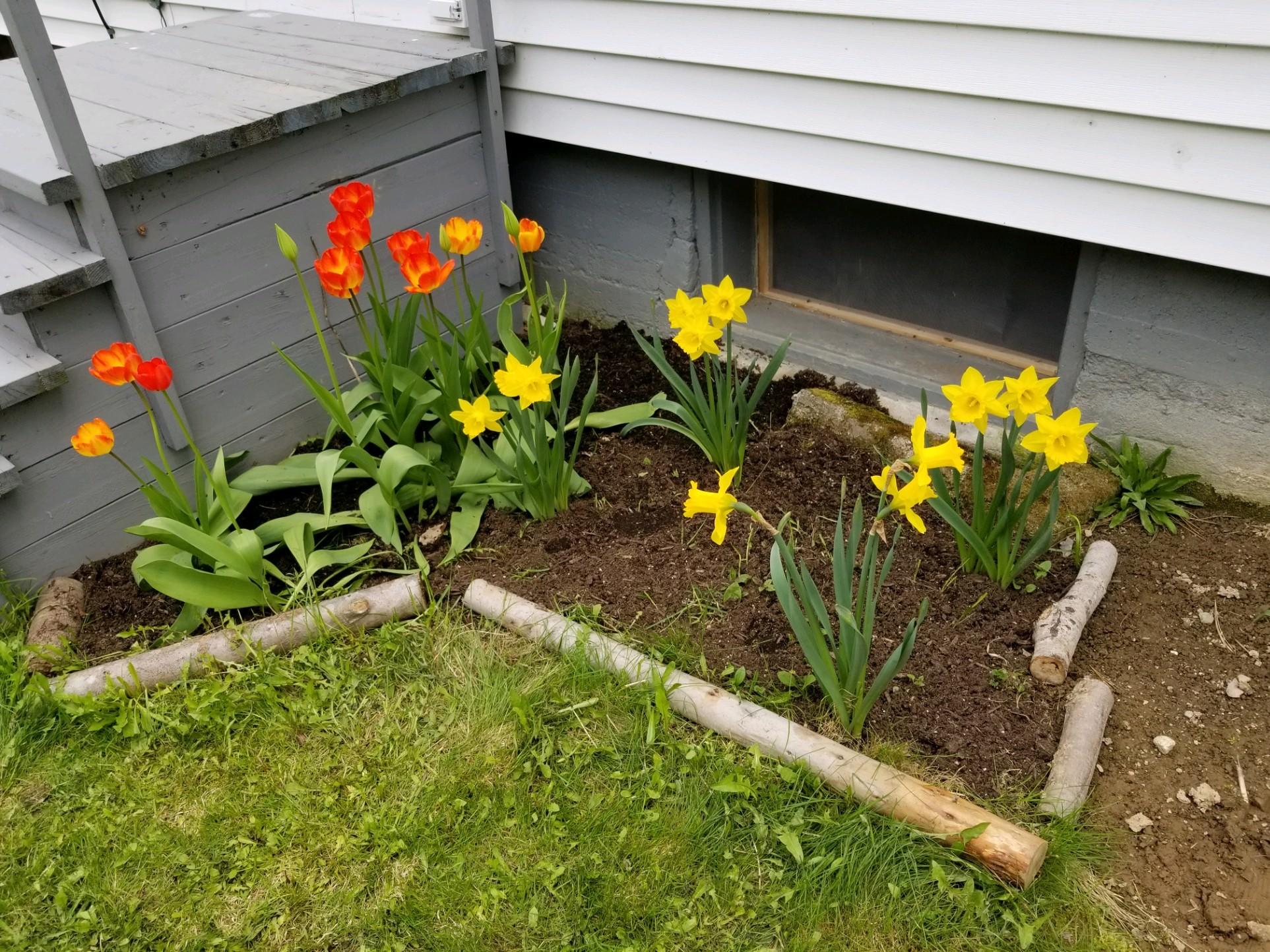 1715 Main Road Enfield, ME 04493 - Photo 29 of 37 Flowers