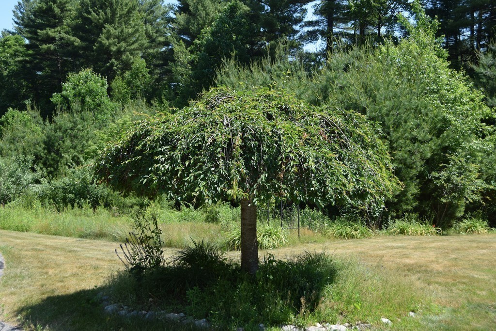 332 Cold Spring Road Belchertown, MA 01007 - Photo 14 of 23 Gallery Image 14