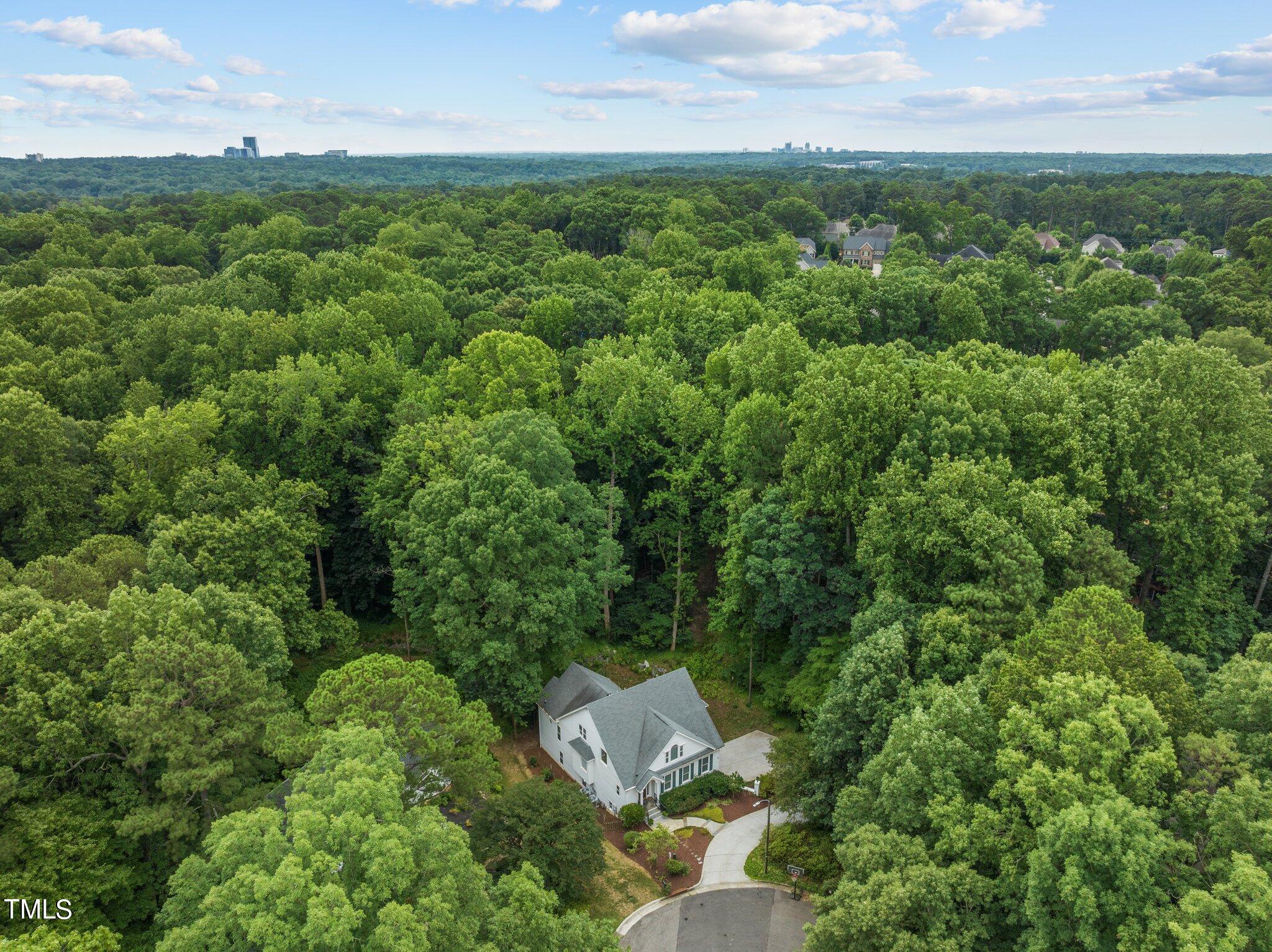 5700 Edgedale Drive Raleigh, NC 27612 - Photo 54 of 57 17-web-or-mls-DJI_0744