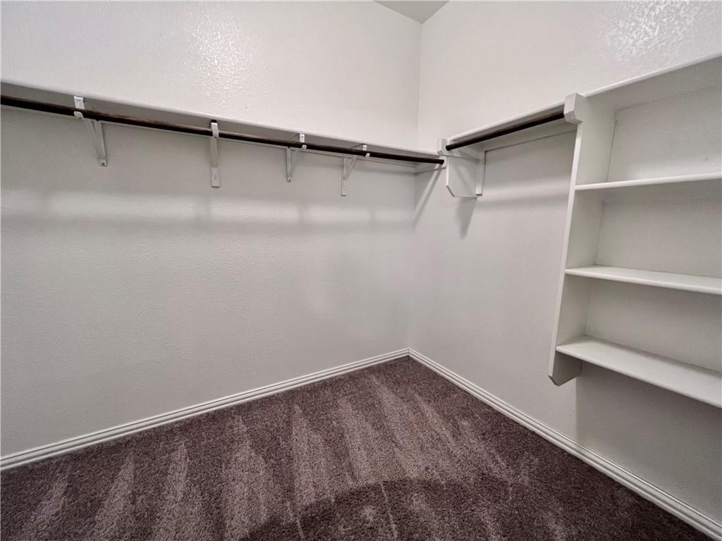 19733 Cherubini Trail Pflugerville, TX 78660 - Photo 13 of 24 Walk in closet with dark colored carpet