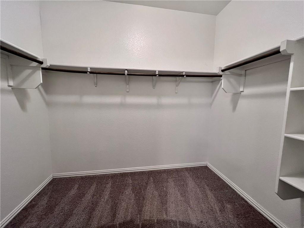 19733 Cherubini Trail Pflugerville, TX 78660 - Photo 14 of 24 Walk in closet with dark colored carpet