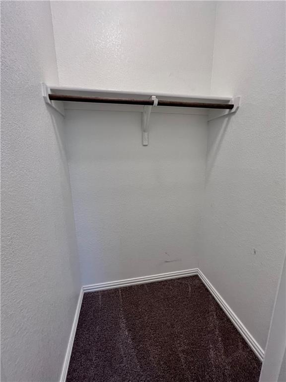 19733 Cherubini Trail Pflugerville, TX 78660 - Photo 22 of 24 Walk in closet with dark colored carpet