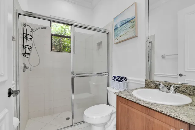 a view of a garden with plants