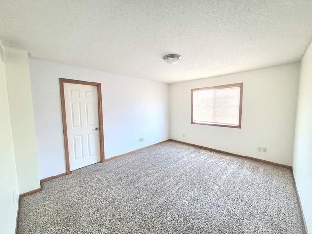 1328 Raintree Lane Waconia, MN 55387 - Photo 12 of 35