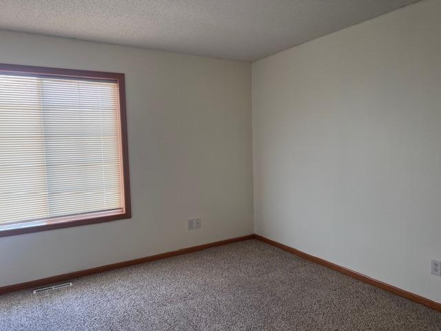 1328 Raintree Lane Waconia, MN 55387 - Photo 17 of 35