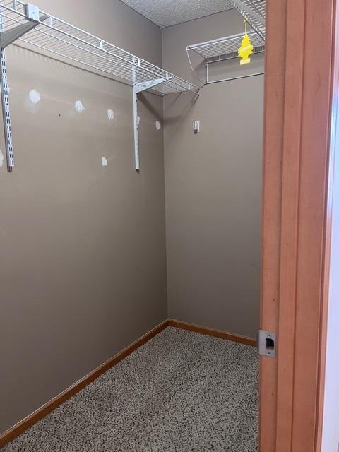 1328 Raintree Lane Waconia, MN 55387 - Photo 19 of 35