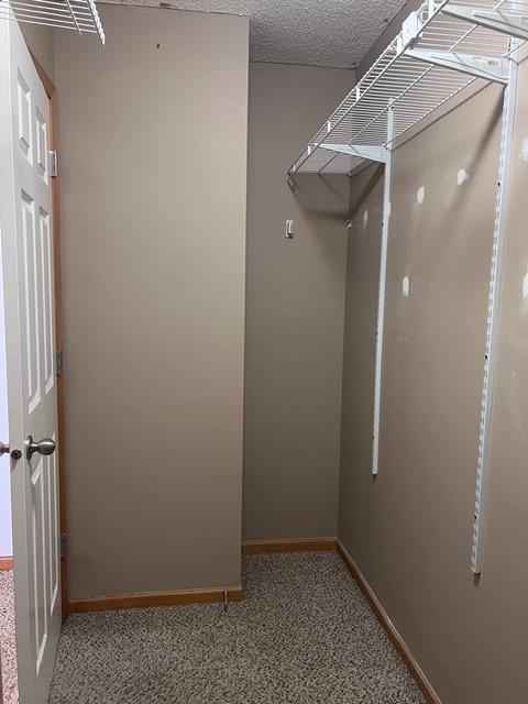 1328 Raintree Lane Waconia, MN 55387 - Photo 20 of 35