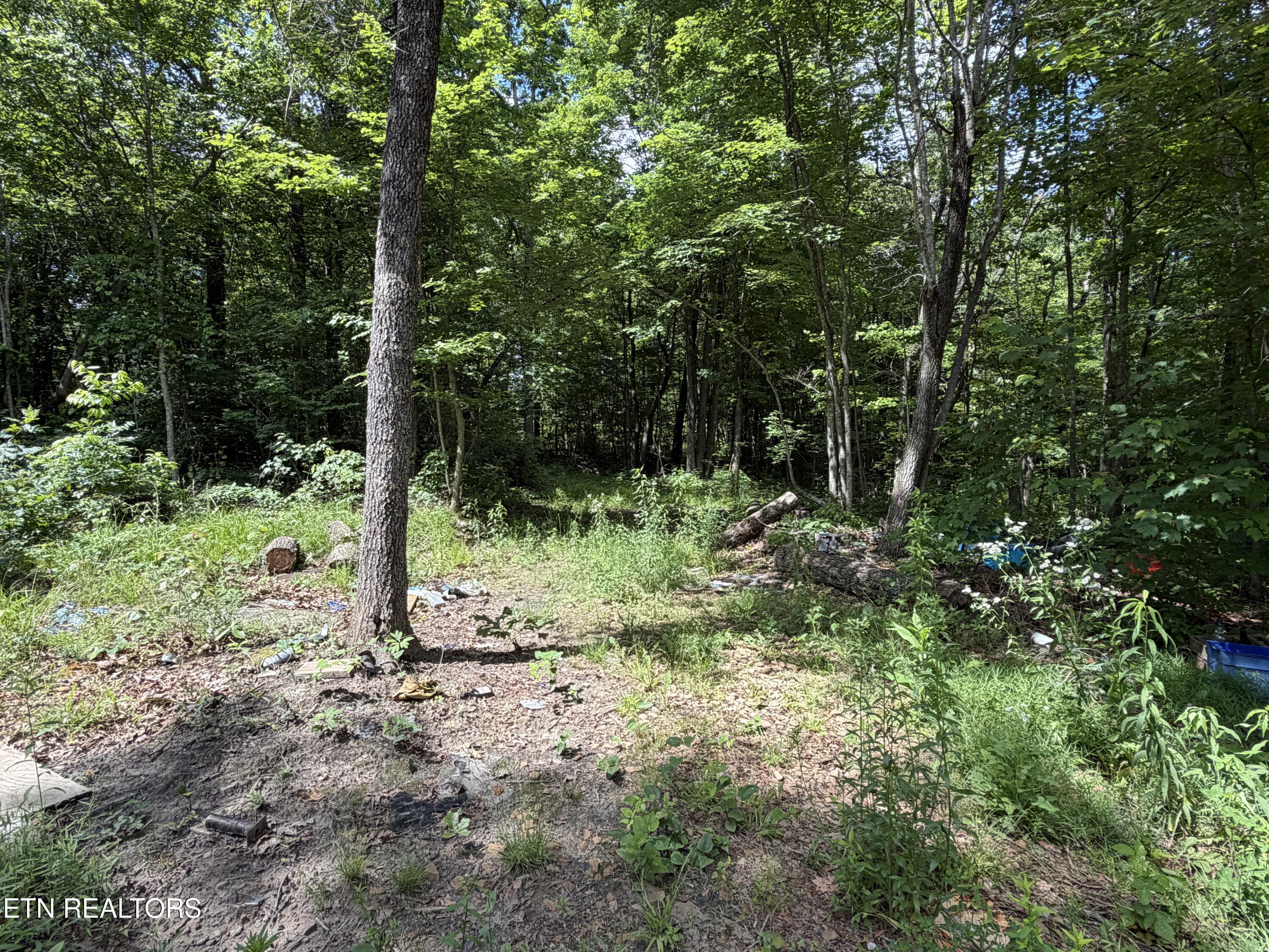 768 Remington Road Jamestown, TN 38556 - Photo 4 of 6 IMG_0482