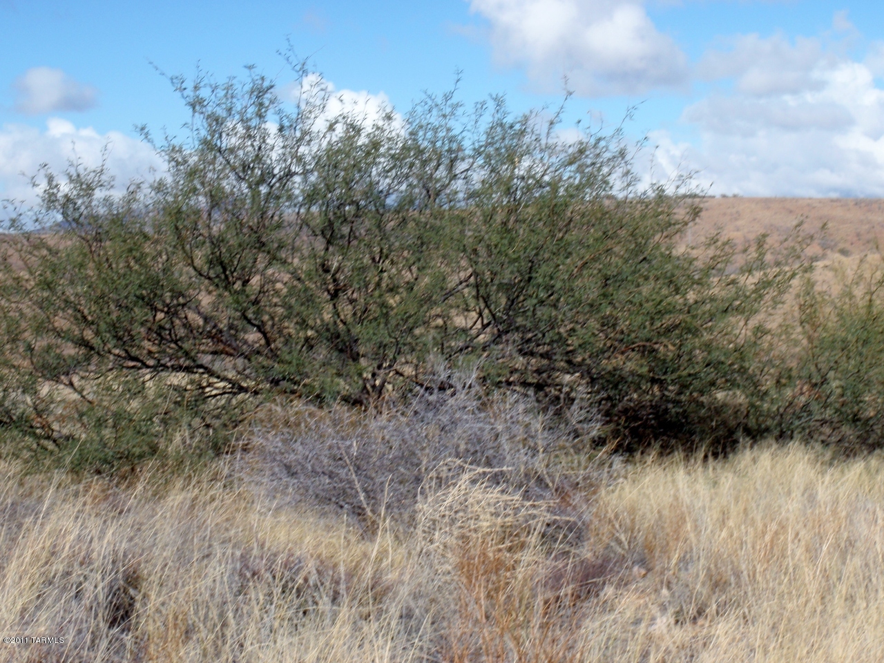 91 Lake Patagonia Road Nogales, AZ 85621 - Photo 4 of 11