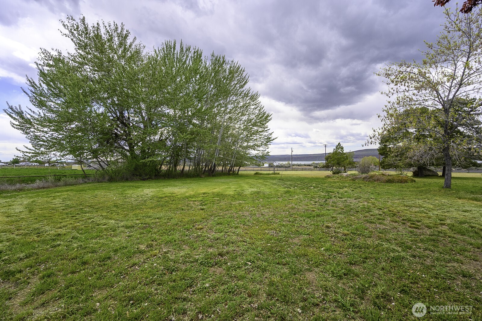10035 Fordair Road Northeast Coulee City, WA 99115 - Photo 25 of 27 a view of outdoor space with green field and trees