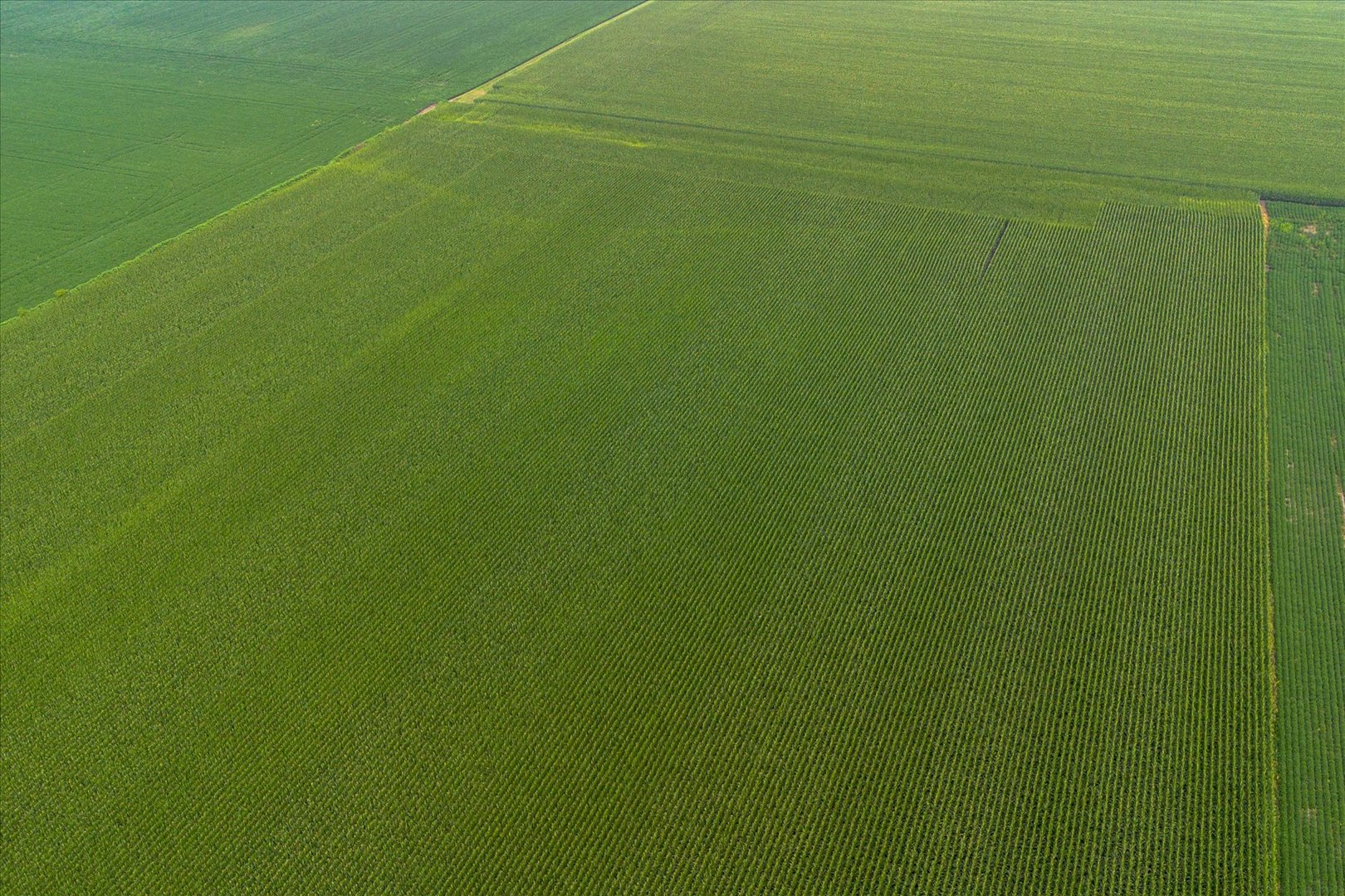 State Route 17th Varna, IL 61375 - Photo 4 of 13