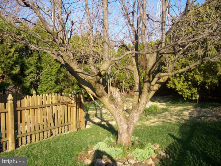 7728 Dorcas Street Philadelphia, PA 19111 - Photo 19 of 20 Exterior Back