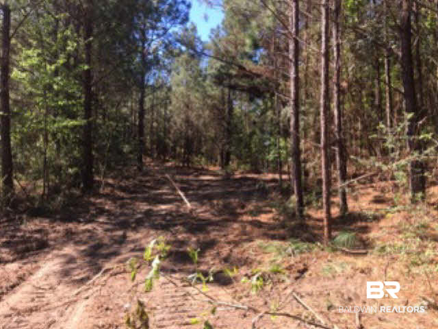 38540 County Road 39 Stapleton, AL 36578 - Photo 7 of 15
