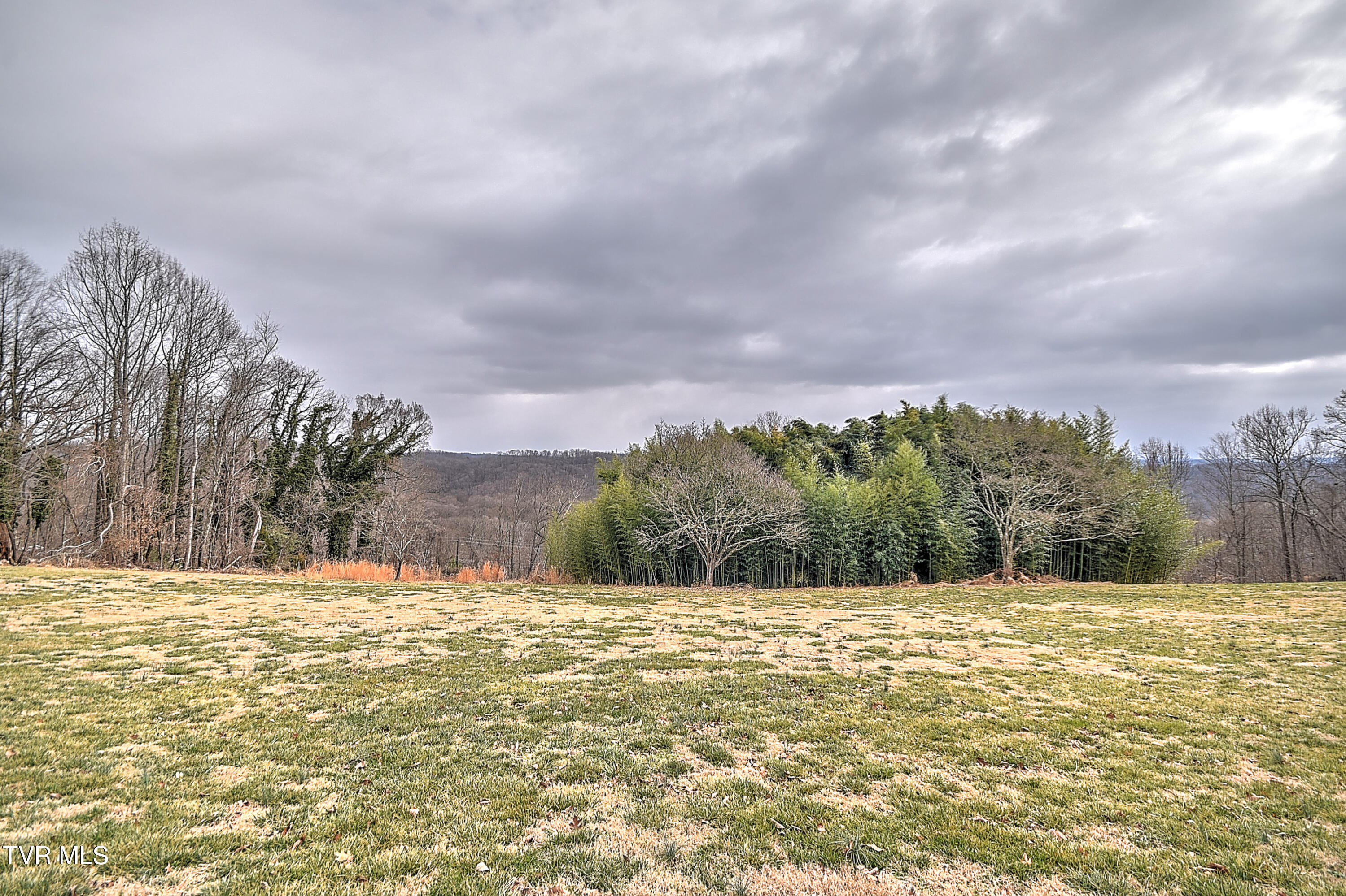 4537 Old Stage Road Kingsport, TN 37664 - Photo 43 of 69 4537 Old Stage Rd JG-48