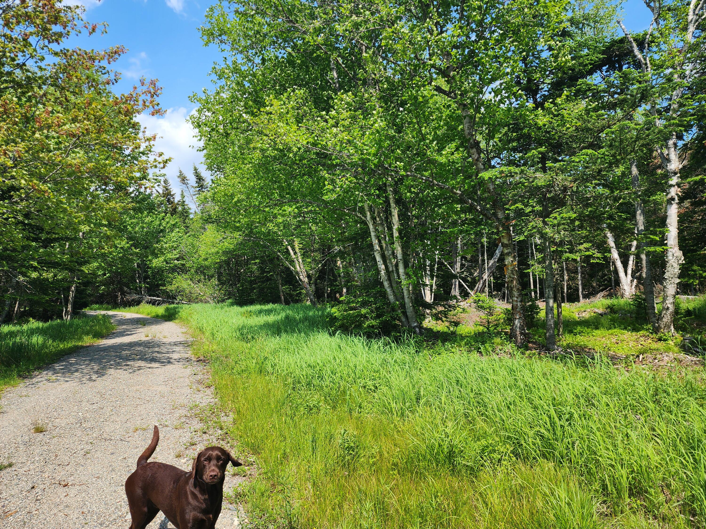 25 Chambers Point Road Roque Bluffs, ME 04654 - Photo 7 of 12 20250611_140036