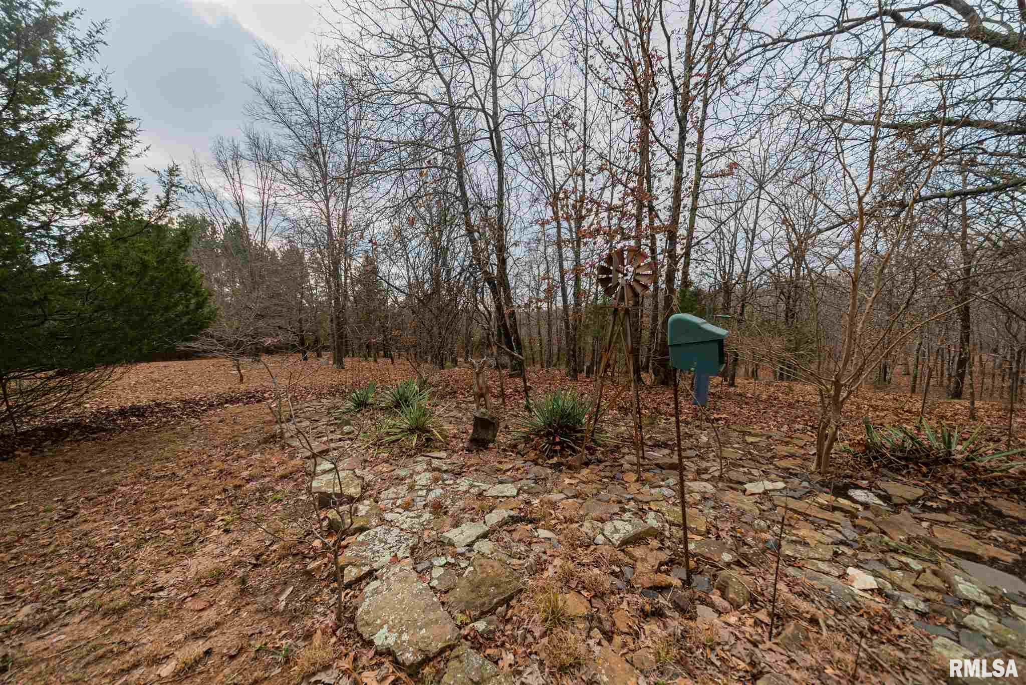 167 Bruce Johnson Road Herod, IL 62947 - Photo 13 of 42