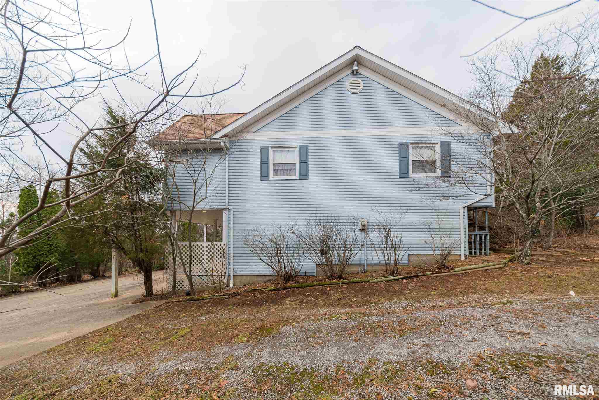 167 Bruce Johnson Road Herod, IL 62947 - Photo 2 of 42