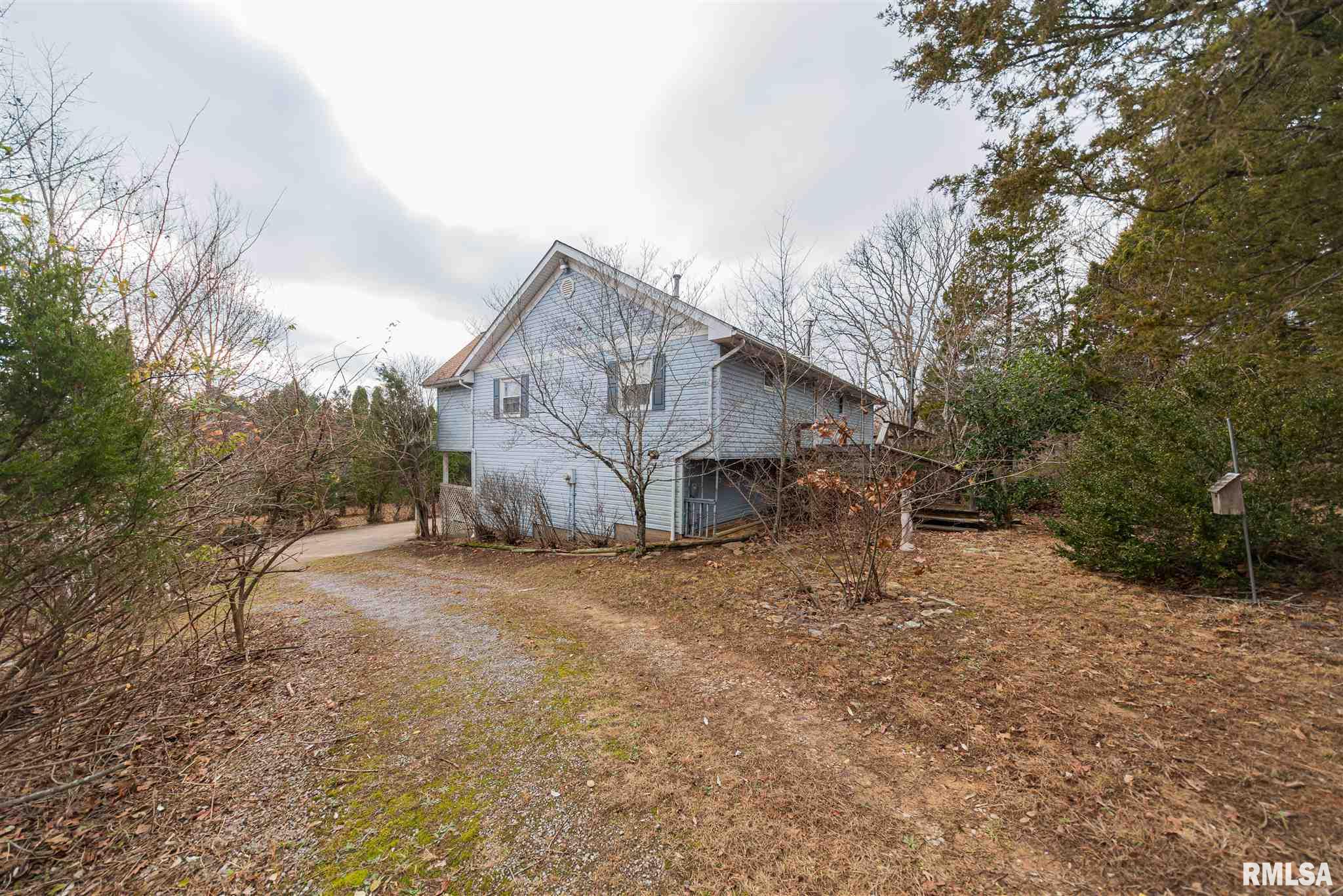 167 Bruce Johnson Road Herod, IL 62947 - Photo 3 of 42