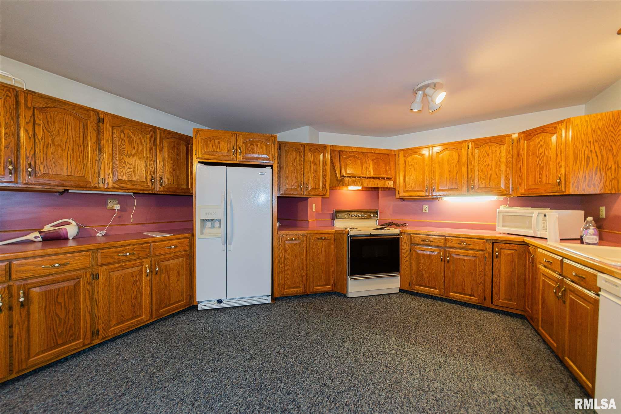 167 Bruce Johnson Road Herod, IL 62947 - Photo 31 of 42