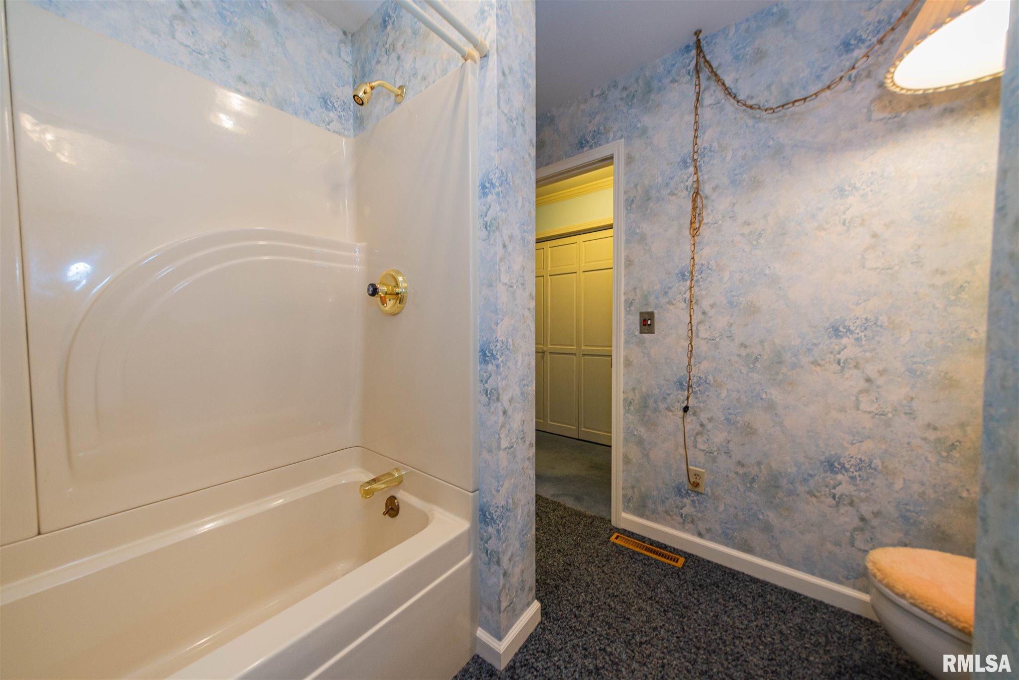167 Bruce Johnson Road Herod, IL 62947 - Photo 40 of 42