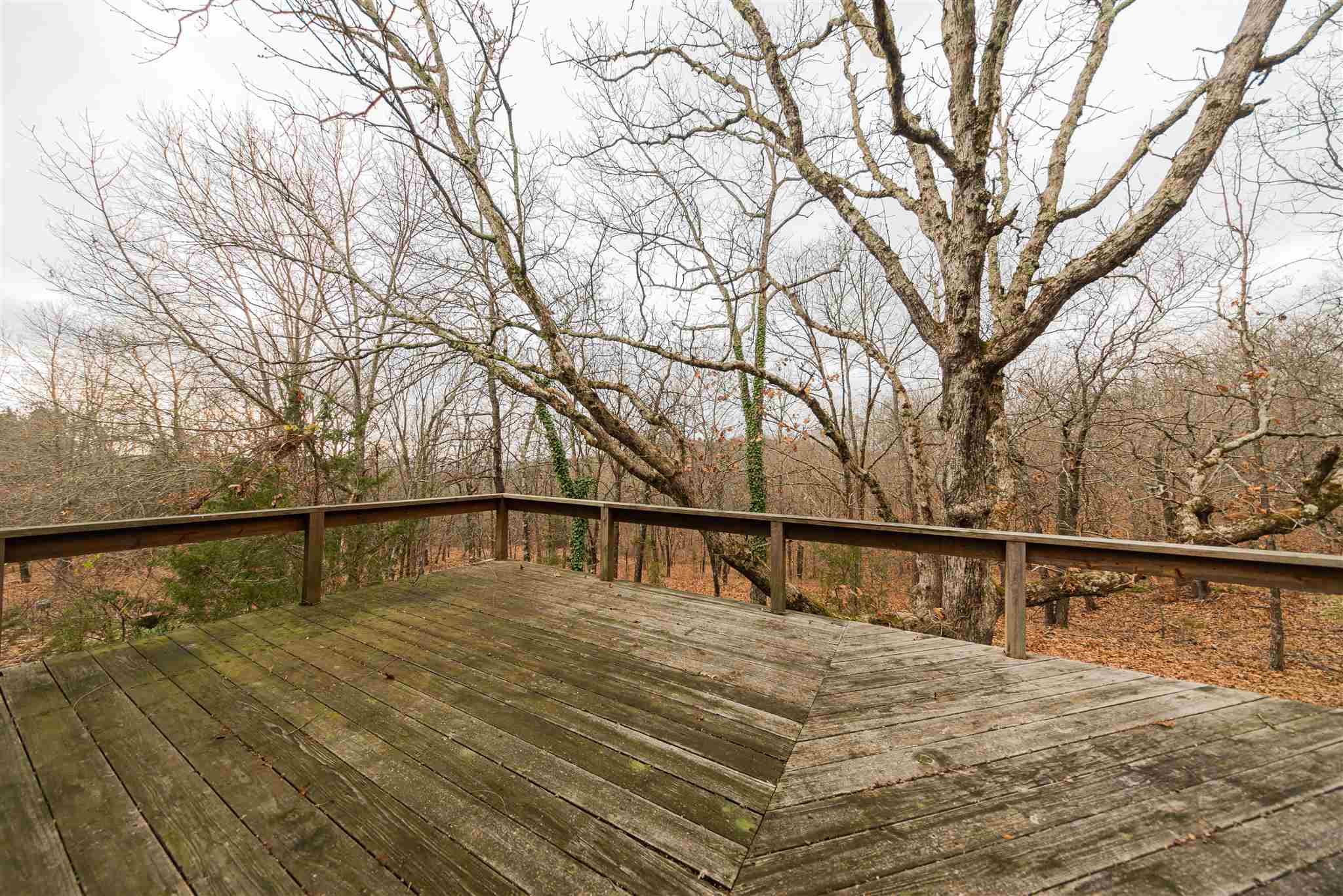 167 Bruce Johnson Road Herod, IL 62947 - Photo 10 of 42