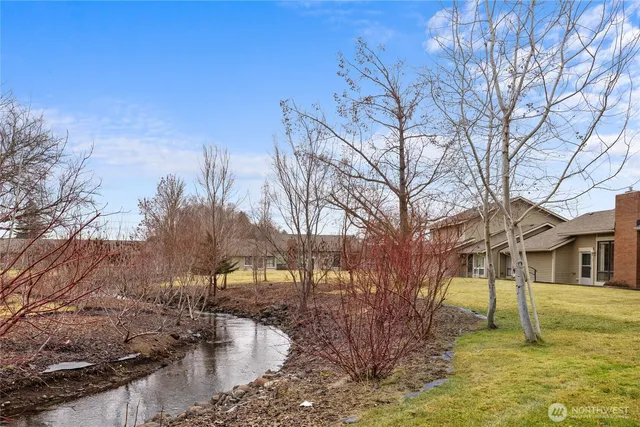 a view of a yard with a house in the background