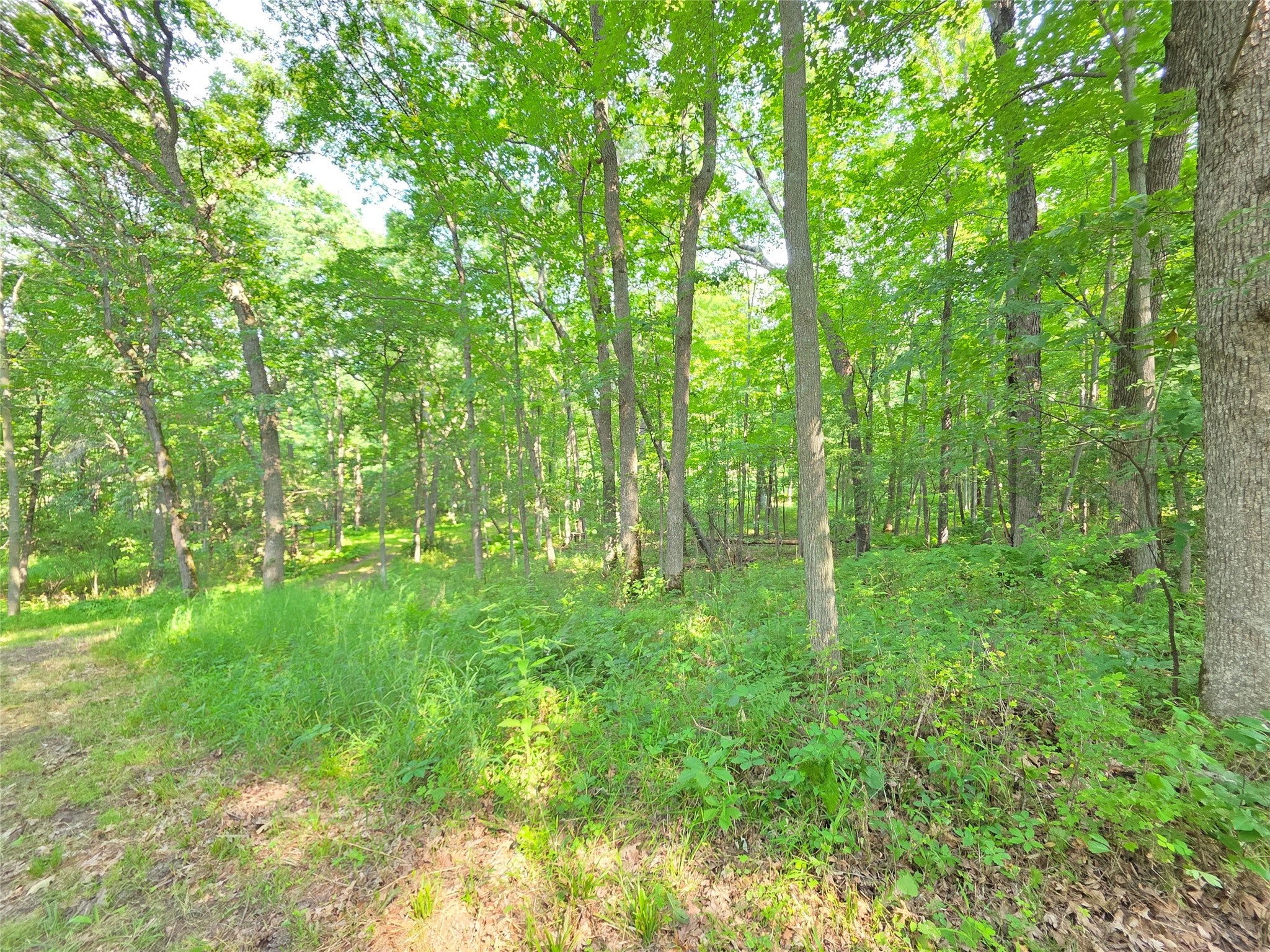 Lot 0 County Road Colfax, WI 54730 - Photo 24 of 25 Gallery Image 24