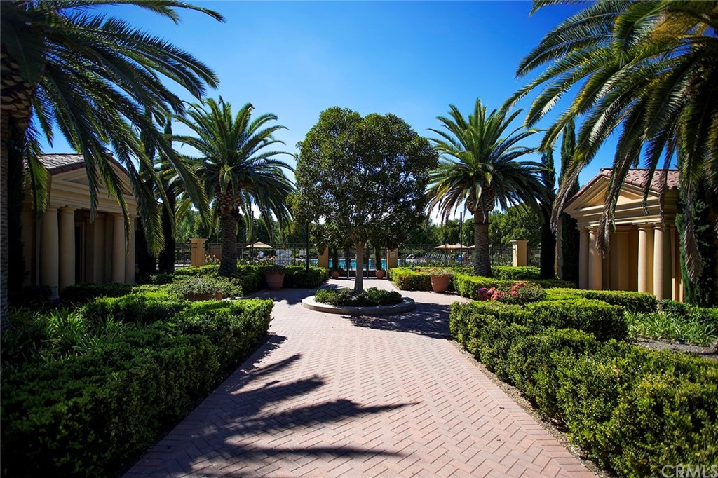 62 Cipresso Irvine, CA 92618 - Photo 43 of 49 a view of a backyard with palm trees