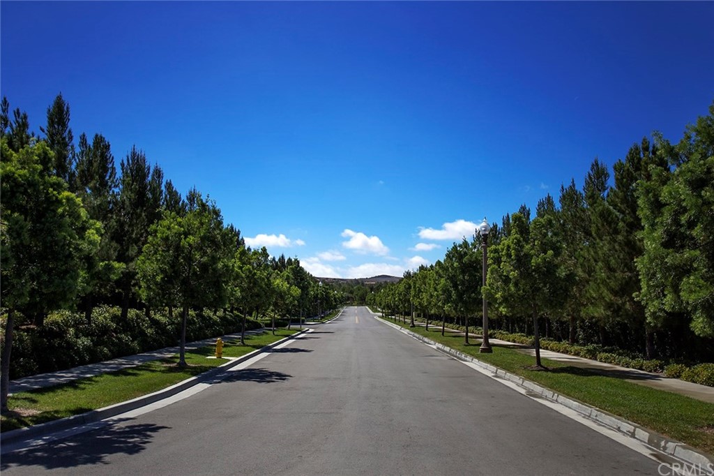 62 Cipresso Irvine, CA 92618 - Photo 49 of 49 a view of a road with a yard