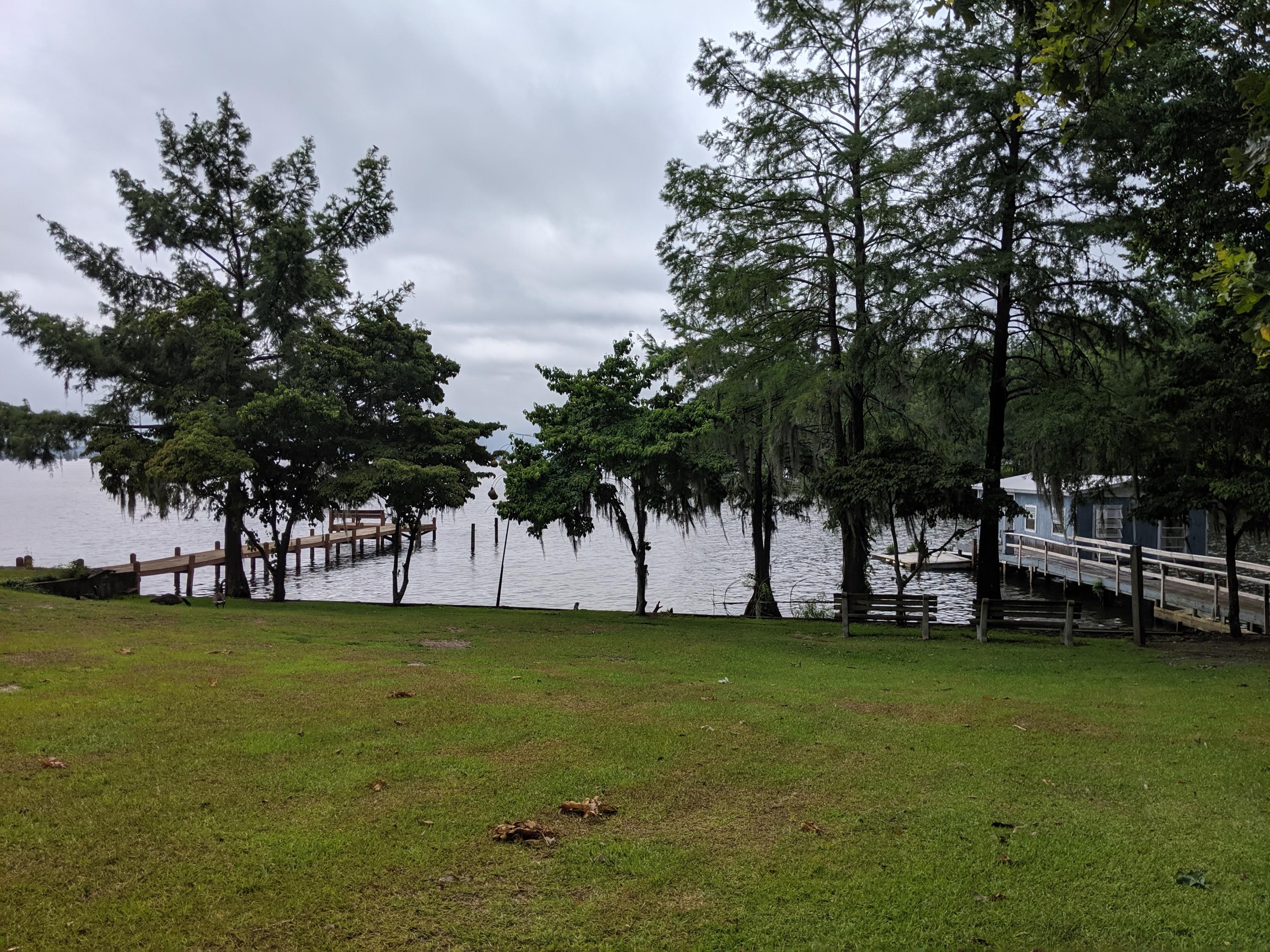 815 Stumphole Road Elloree, SC 29047 - Photo 31 of 42 IMG_20190608_092802