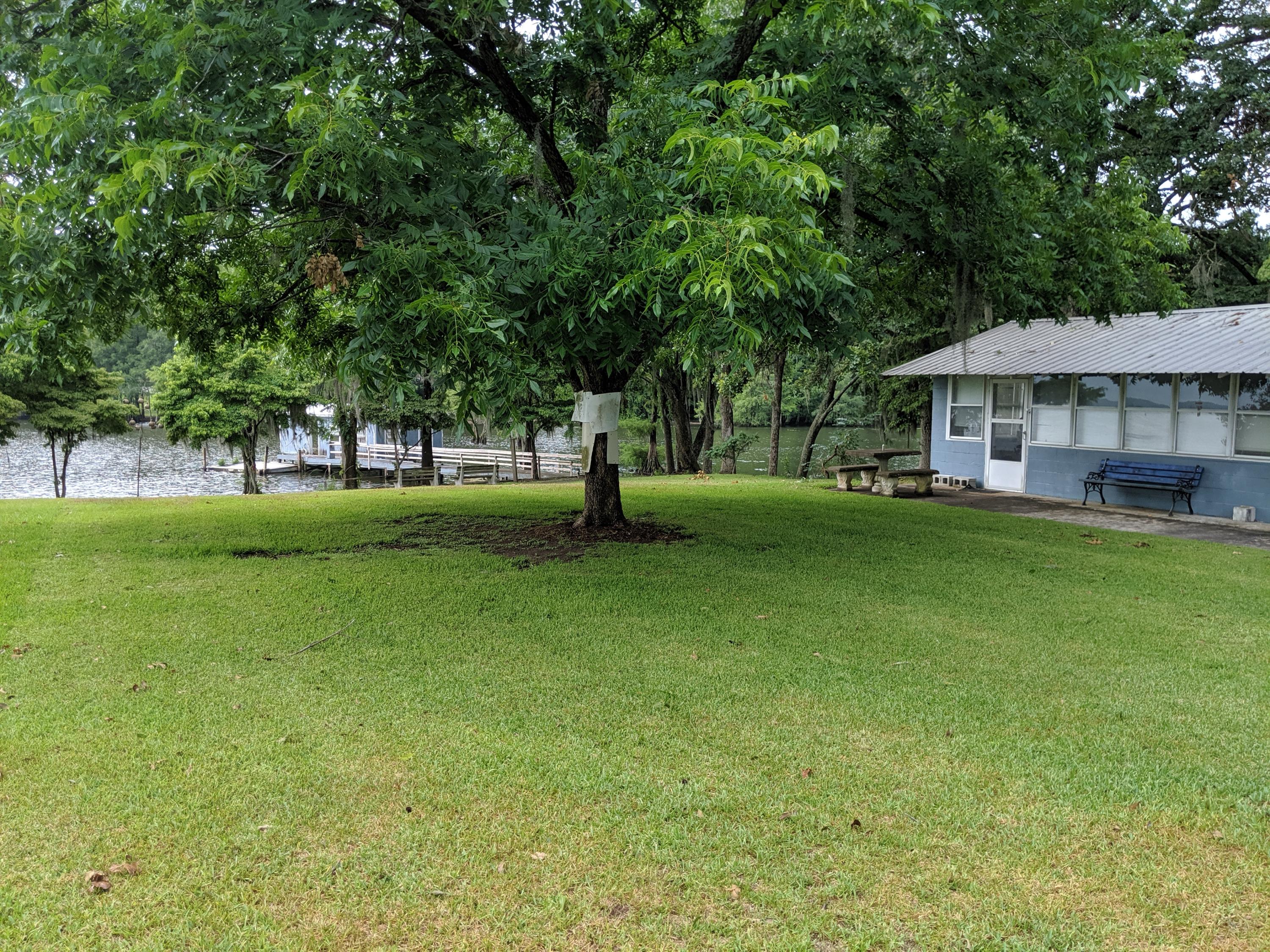 815 Stumphole Road Elloree, SC 29047 - Photo 34 of 42 IMG_20190608_092709