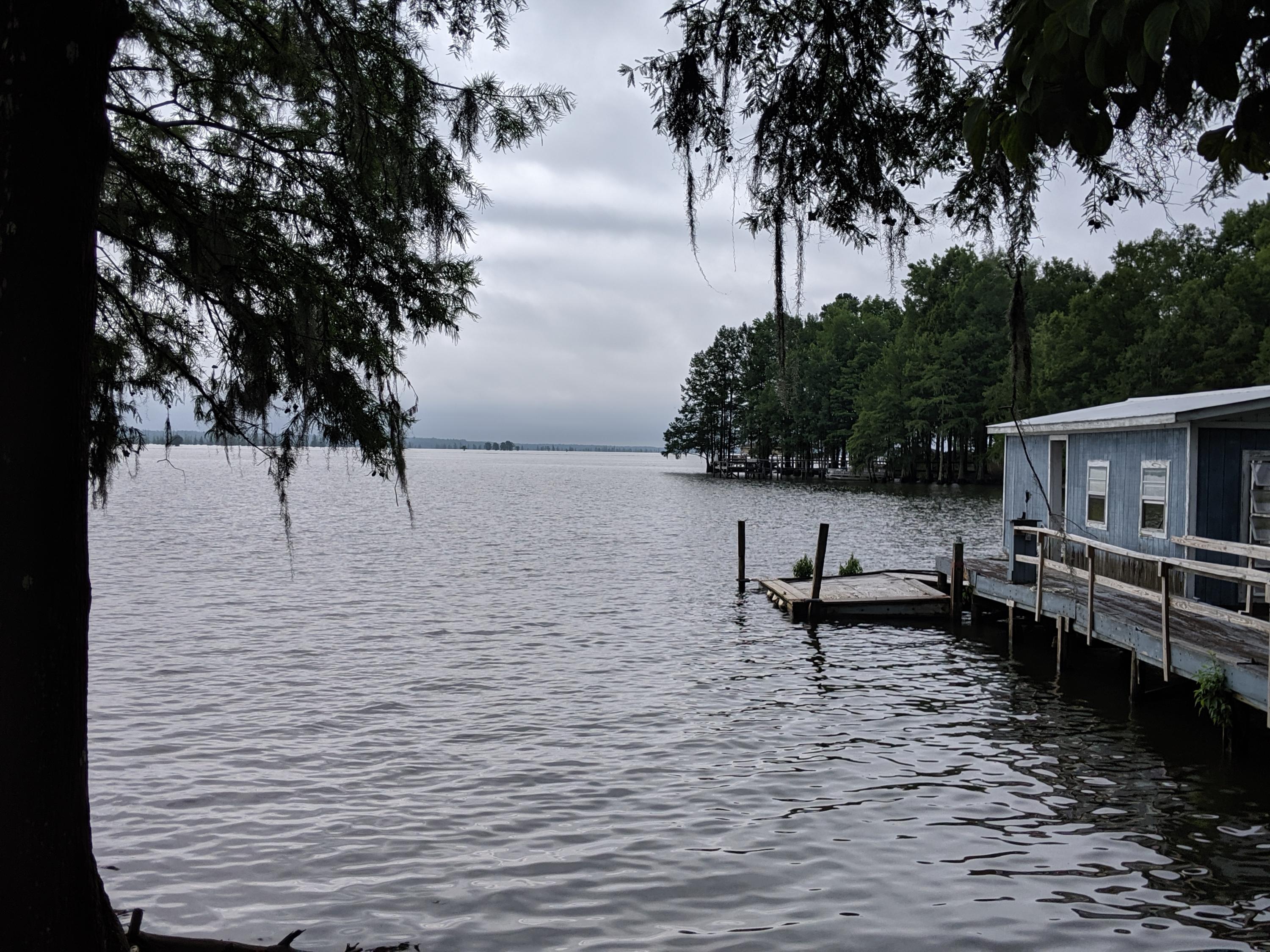 815 Stumphole Road Elloree, SC 29047 - Photo 40 of 42 MVIMG_20190608_093014