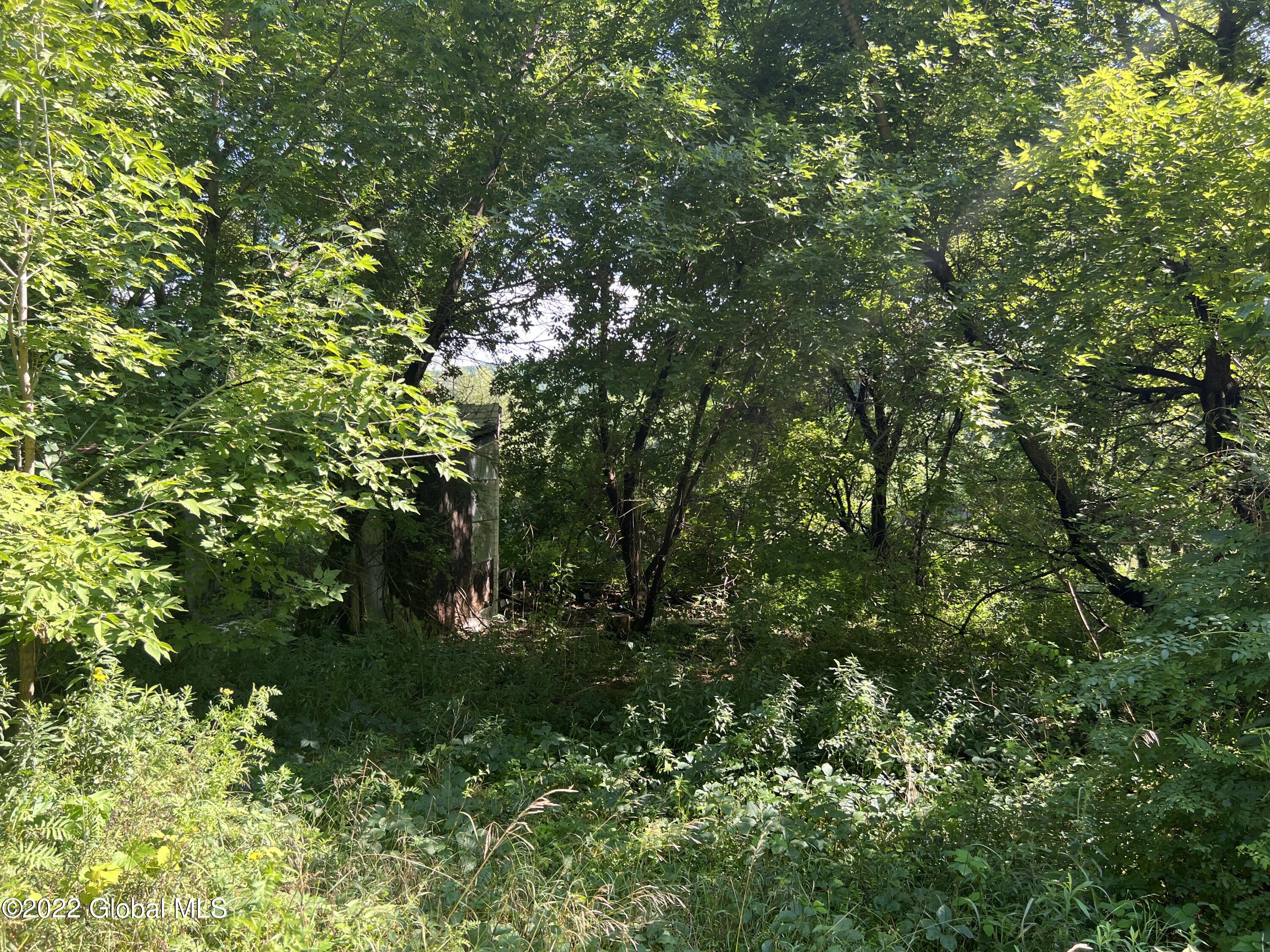 290 River Road Buskirk, NY 12028 - Photo 6 of 10 IMG_6945