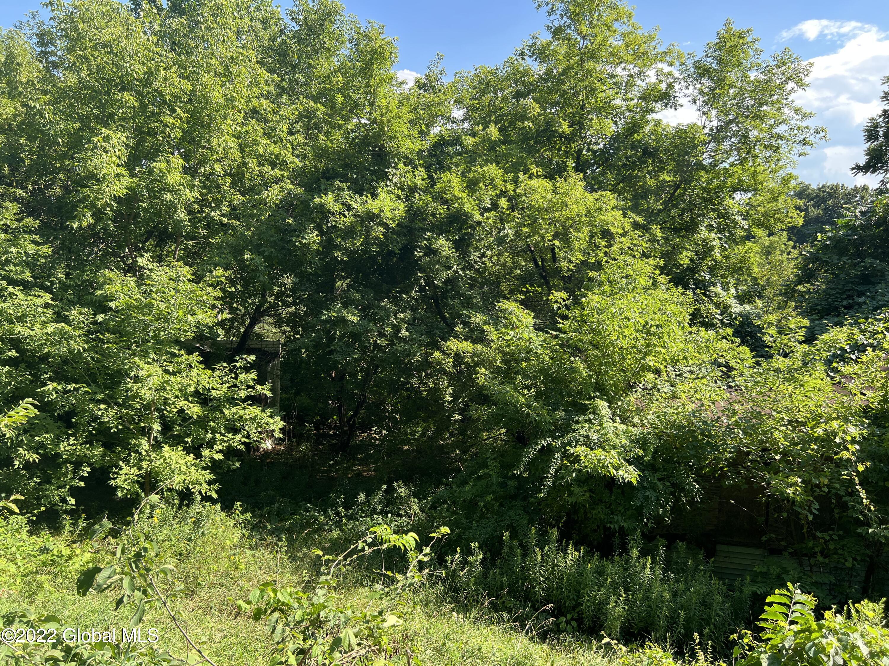 290 River Road Buskirk, NY 12028 - Photo 10 of 10 IMG_6949