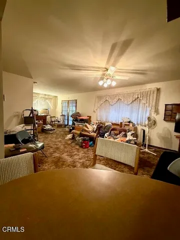 a view of a yard with plants and a large tree