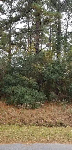 $15,000 | 0 Reardon Avenue, Walterboro, SC 29488