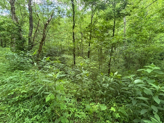 Gallery Image 6