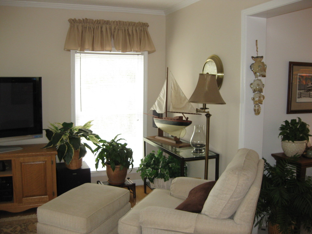 1410 Merriman Way Road Moneta, VA 24121 - Photo 19 of 43 Home! More Great Windows to Dining Area!