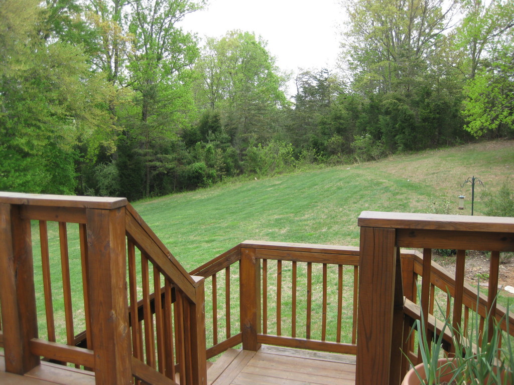 1410 Merriman Way Road Moneta, VA 24121 - Photo 36 of 43 Home! to Back Yard!