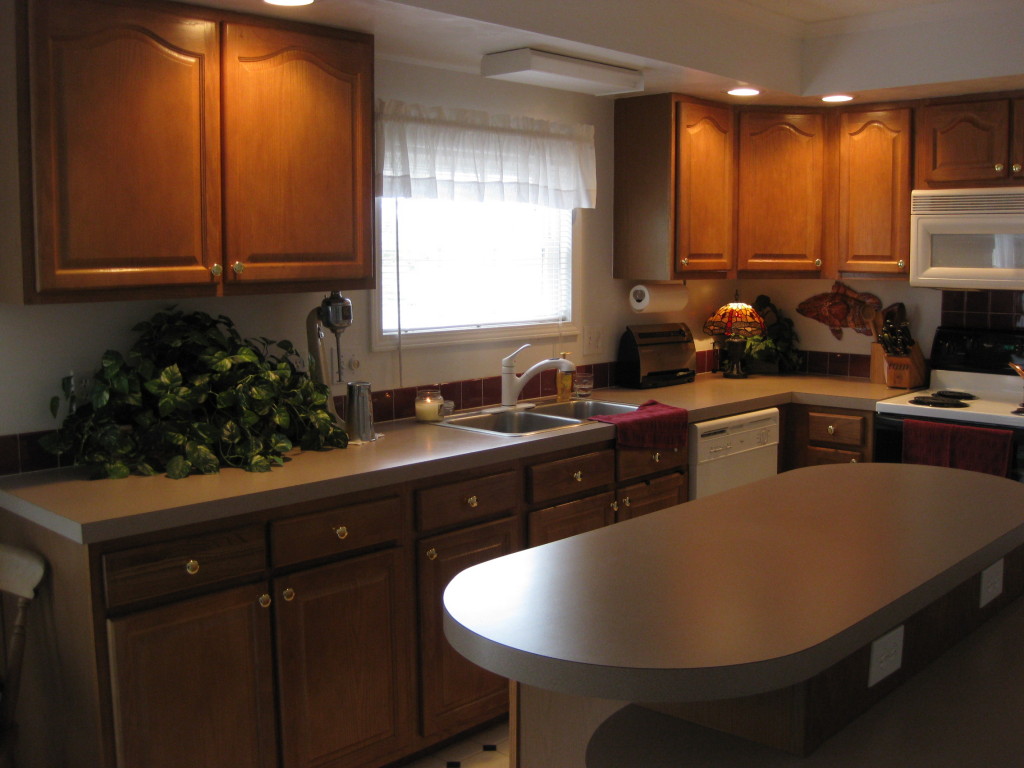 1410 Merriman Way Road Moneta, VA 24121 - Photo 10 of 43 Home! Wonderful Kitchen! Appliances...