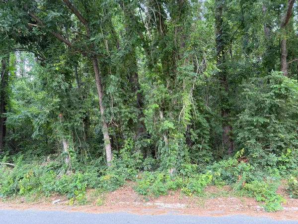 $95,000 | 314 East Poplar Branch Drive, Moncks Corner, SC 29461