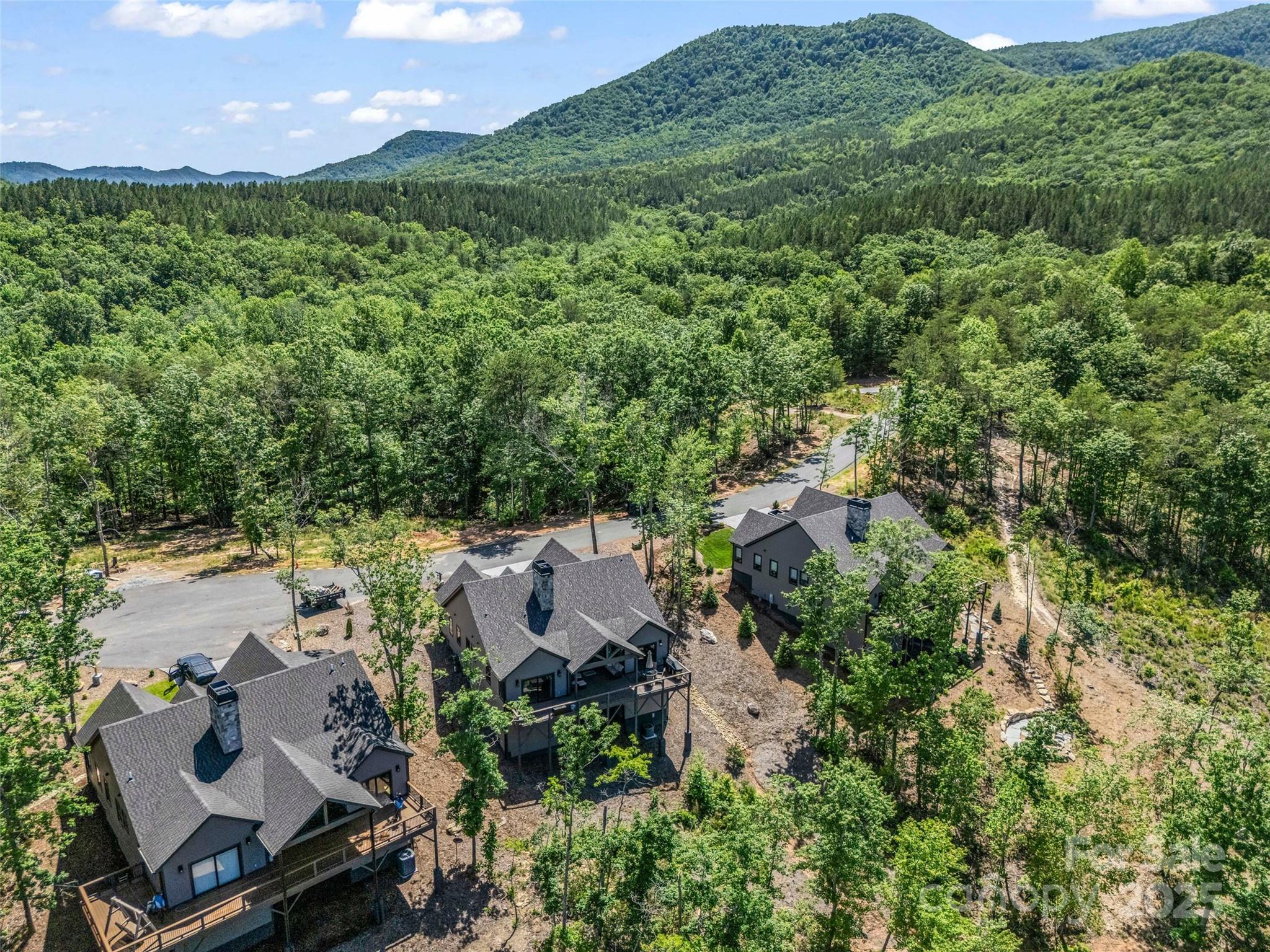 87 Jackson Ridge Ln Mill Spring Mill Spring, NC 28756 - Photo 36 of 42 an aerial view of a house with a yard
